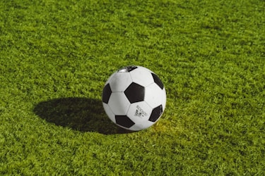 阿根廷队夺冠后新老交替分析图